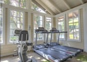 Thumbnail 14 of 17 - gym
