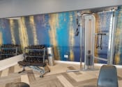 Thumbnail 3 of 11 - Gym
