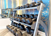 Thumbnail 4 of 11 - Gym Weights