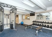 Thumbnail 23 of 35 - Gym 3