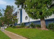 Thumbnail 3 of 14 - a sidewalk lined with trees and grass in front of a blue and white building