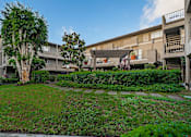 Thumbnail 29 of 46 - A tree in a grassy area in front of a building.
