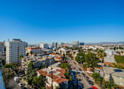 Thumbnail 23 of 25 - A cityscape with buildings, cars, and palm trees under a clear blue sky.