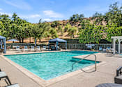 Thumbnail 16 of 67 - A large outdoor swimming pool surrounded by trees and lounge chairs.