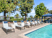 Thumbnail 15 of 67 - A row of lounge chairs by the pool the edge of a pool.