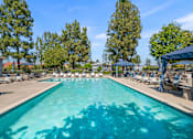 Thumbnail 34 of 67 - A large swimming pool surrounded by trees and lounge chairs.