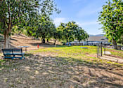 Thumbnail 12 of 67 - A park with a blue bench and trees.
