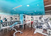 Thumbnail 6 of 49 - A gym with a blue ceiling and wooden floors.