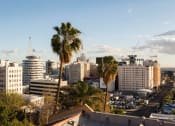 Thumbnail 6 of 35 - roof view with palm trees
