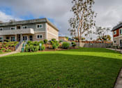 Thumbnail 32 of 35 - a backyard with green grass and a house in the background