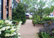 Thumbnail 46 of 48 - a sidewalk filled with flowers and plants outside a building