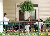 Thumbnail 101 of 109 - A group of people are sitting on a porch with a green plant hanging from the ceiling.