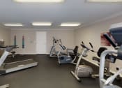 Thumbnail 28 of 59 - Fitness Center at The Dorchester & Manor, North Carolina, 28134