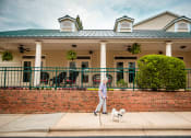 Thumbnail 15 of 59 - Woman Walking Dog at The Dorchester & Manor, Pineville, NC, 28134