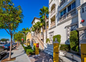 Thumbnail 52 of 74 - a row of apartment buildings with palm trees in the background