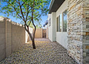 Thumbnail 20 of 36 - A tree is in a courtyard between two buildings.