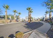 Thumbnail 33 of 36 - A curved road with palm trees on the side.