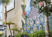 Thumbnail 3 of 39 - a mural of a peacock on the side of a building with lounge seating at Vera Cortez Hill, San Diego