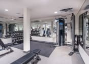 Thumbnail 11 of 33 - a gym with weights and cardio equipment on the floor and a mirrored wall