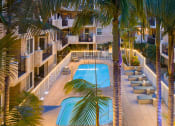 Thumbnail 60 of 75 - swimming pool with palm trees in front of it