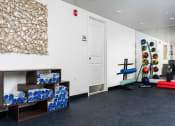 Thumbnail 38 of 75 - a workout room with weights and a shelf of blue and white glasses and a wall
