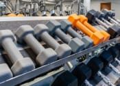 Thumbnail 47 of 75 - a row of dumbbells on a machine in a gym
