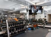 Thumbnail 46 of 75 - a gym with weights and a tv on the wall
