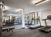 Thumbnail 18 of 30 - a gym with cardio equipment and weights on the floor
