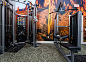 Thumbnail 42 of 57 - A gym with a picture of a canyon on the wall.