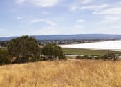 Thumbnail 74 of 86 - a field of dry grass with a lake and a city in the background at Avenue Two Apartments, Redwood City