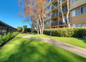 Thumbnail 8 of 86 - Apartments in Redwood City for Rent - Avenue Two - Dog Park with Green Grass, a Sidewalk, a fence, and Bushes at Avenue Two Apartments, California, 94063