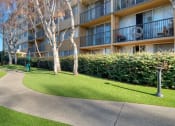 Thumbnail 9 of 86 - Apartments for Rent in Redwood City, CA - Avenue Two - Dog Park with Manicured Grass, Trees, and Cement Walking Path at Avenue Two Apartments, California