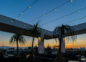 Thumbnail 17 of 29 - A patio with palm trees and string lights. at Baker Block, Costa Mesa, CA, 92626
