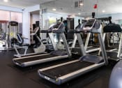 Thumbnail 22 of 50 - a row of treadmills and other exercise equipment in a gym