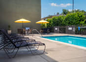 Thumbnail 32 of 50 - the swimming pool at our hotel