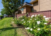 Thumbnail 77 of 77 - a yard with flowers in front of a house