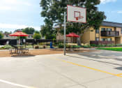 Thumbnail 22 of 77 - basketball court
