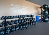 Thumbnail 72 of 127 - A wall with a motivational quote and a rack of dumbbells.