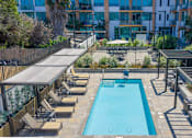 Thumbnail 3 of 127 - A large outdoor swimming pool surrounded by sun loungers and umbrellas.