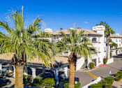 Thumbnail 41 of 48 - A street view with palm trees and a white building.