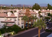 Thumbnail 44 of 48 - A residential area with houses and palm trees.