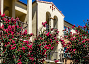 Thumbnail 80 of 80 - A building with a balcony and flowering plants in front.