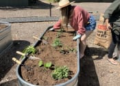 Thumbnail 10 of 97 - casata austin with community garden