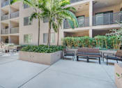 Thumbnail 26 of 26 - A palm tree stands in a courtyard with benches and plants at Wilshire Valencia Apartment, California, 90017