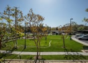 Thumbnail 21 of 22 - Lush Landscaping at 55+ FountainGlen Seacliff, California