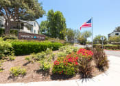 Thumbnail 10 of 28 - an flag is flyin at Harbor Pointe, California, 92629