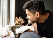Thumbnail 16 of 60 - a man and his cat looking out the window