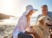 Thumbnail 74 of 75 - a man and a woman sitting on the beach with a dog