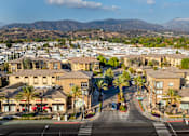 Thumbnail 74 of 80 - A street view of a residential area with houses and palm trees.