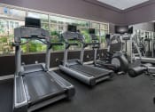Thumbnail 12 of 80 - a row of treadmills in a gym